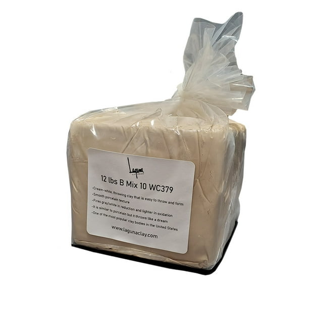 12 Lbs BMix 10 WC379 Ceramic Clay Pottery Clay for Potters