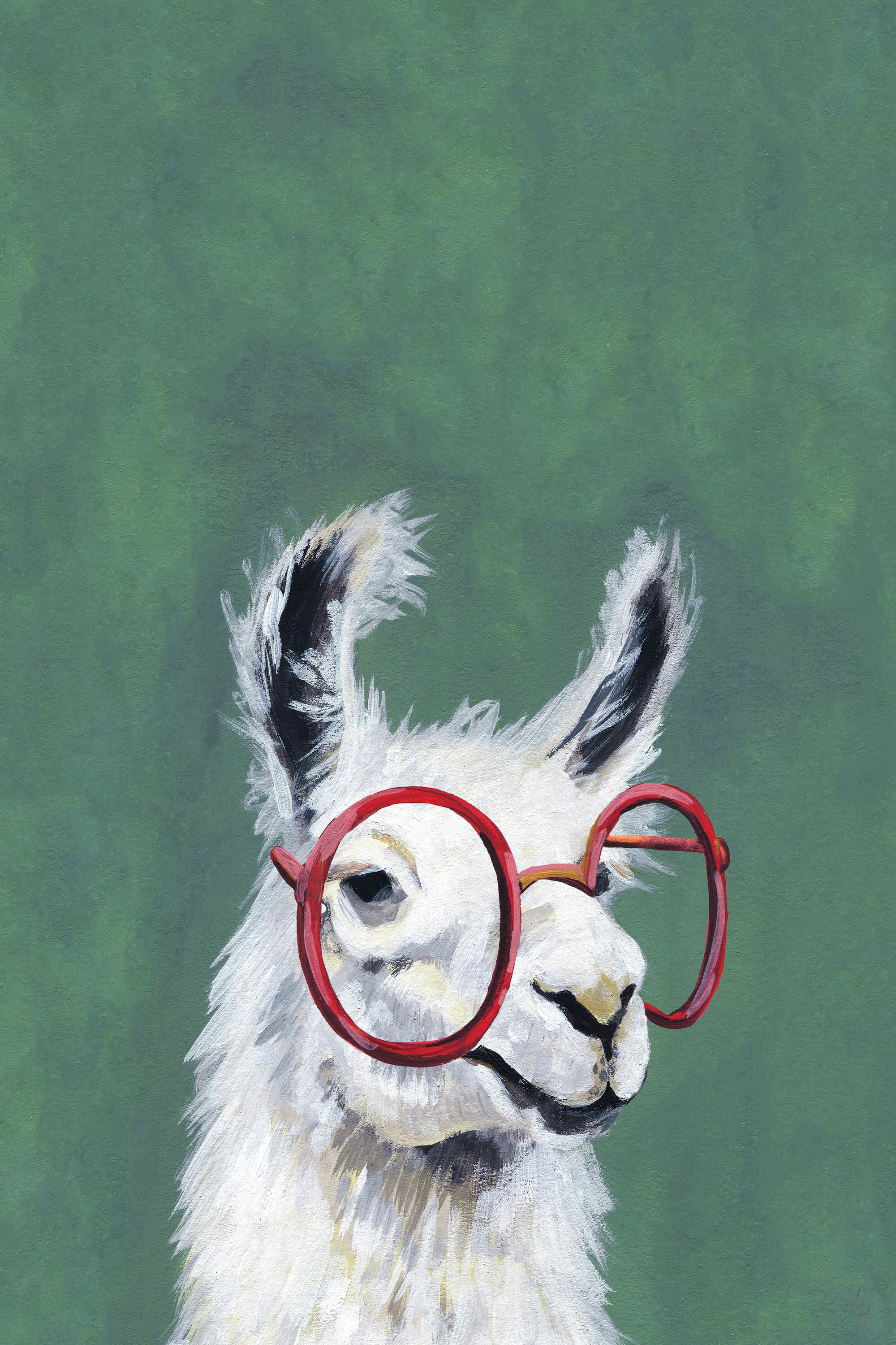 Red Llama Glasses Painting Print on Wrapped Canvas