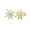 Gold, variant on CZ Tiny Star Stud Earrings for Women Hypoallergenic Screw Back 20G Mini Cartilage Cubic Zirconia Earring Helix Tragus Sleeper Dainty Wedding Statement Lucky Star Piercing Jewelry