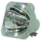 Remplacement de la Lampe de Projecteur Original Philips pour Runco DR-300C (Ampoule Seulement) – image 1 sur 5