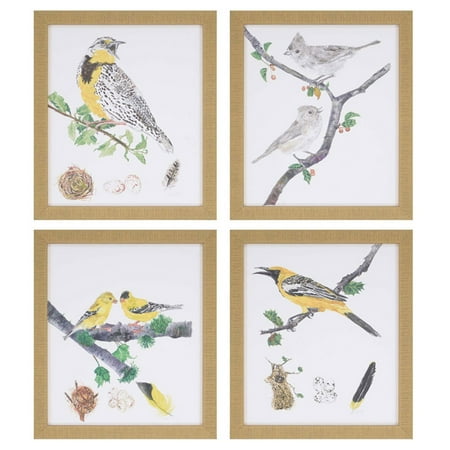 - Paragon Birds Framed Wall Art - Set of 4