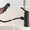 Mate Black, variant on Single Hole Bathroom Faucet, Modern Single Handle Pull Out Sink Faucet with 3 Water Flow Modes, Fountain Bathroom Faucet with Sprayer (Black, Regular)