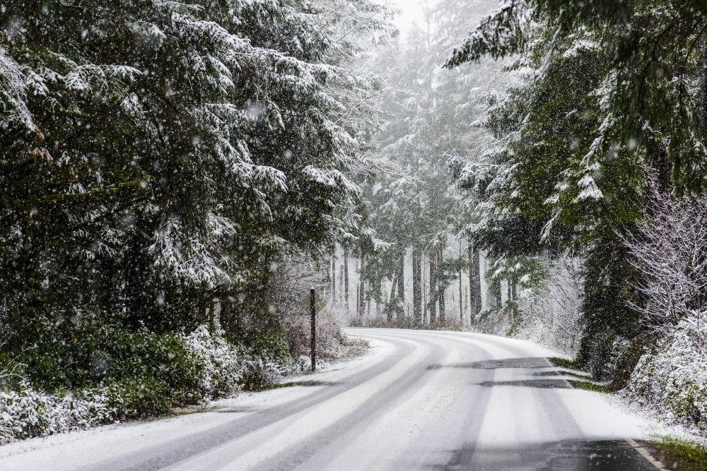 Snow falls on trees and a road in Clatsop County; Astoria Oregon United