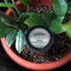 thumbnail image 3 of Probador de suelo, medidor de acidez del suelo y detector de valor de pH de humedad para horticultura, jardines de macetas y agricultura, 3 of 5