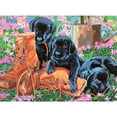 thumbnail image 1 of ROYAL - Grand Trouble dans le Jardin, 1 of 1