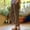 Pants-49Coffee, variant on Capri Pants for Women Mid Rise Elastic Waist Cropped Pants with Pockets Lightweight Casual Straight Leg Linen Pants Vacation Pull-On Resort Travel Summer Lounge Wear