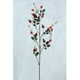 thumbnail image 1 of 12 Pieces of Rosehip Branch Red 31 inch, 1 of 3