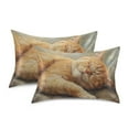 thumbnail image 2 of Sleep Cat Pillowcases Soft Satin Pillow Covers Decorative Rectangle Envelope Closure for Women Men, 2 of 8