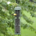 thumbnail image 2 of Original Evenseed Squirrel Dilemma Bird Feeder, 2 of 8