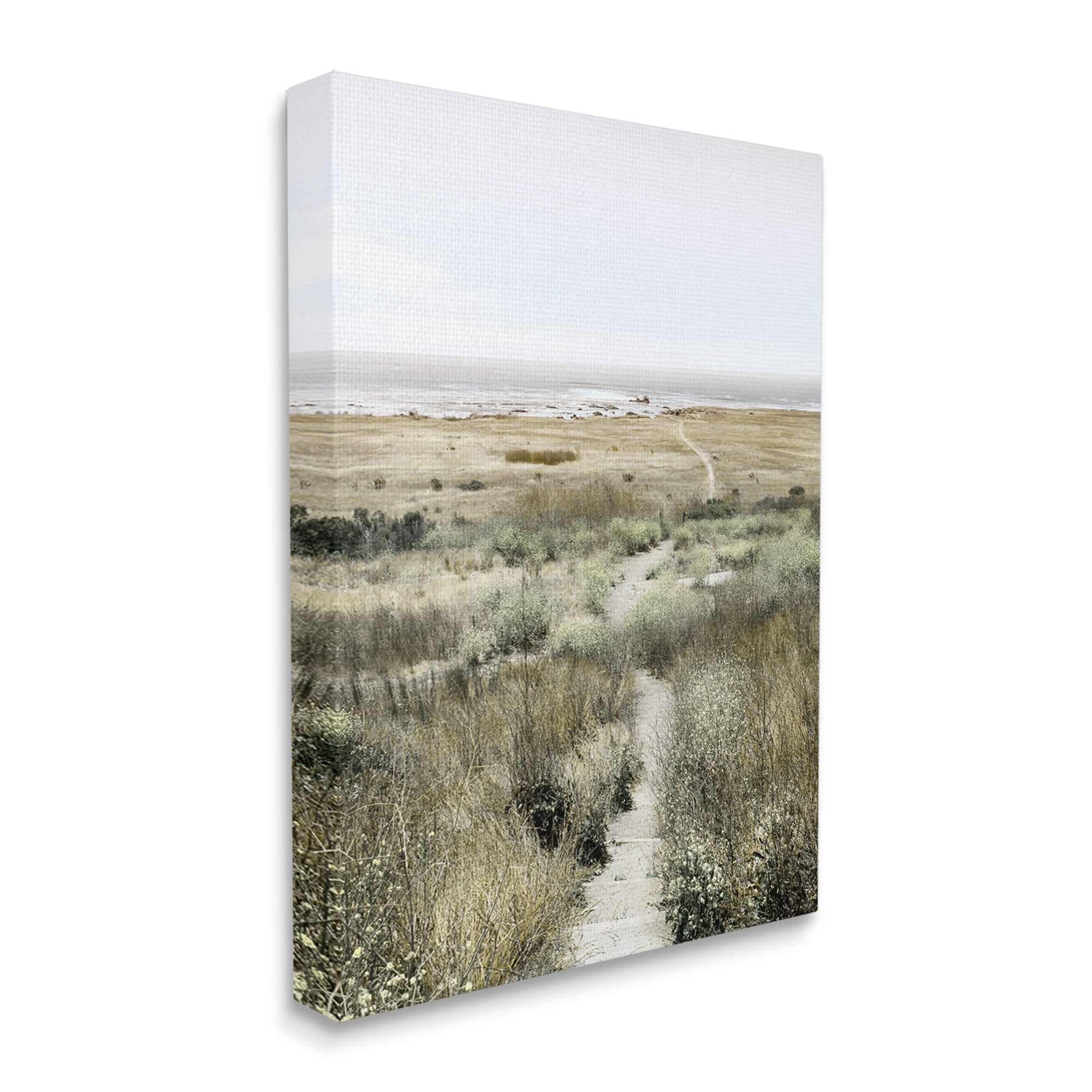 Stupell Industries Distant Shoreline Grassy Beach Path Cloudy Horizon, 16 x 20, Design by Danita Delimont