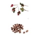 thumbnail image 1 of 60 Piezas Rústicas Conos de Pino Natural Flores Secas Artificiales Adornos para Bodas Navideñas Interiores Al Decoraci, 1 of 9
