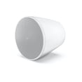 thumbnail image 1 of Subwoofer Bose Professional DM10P 10" Colgante Blanco 250W, 1 of 1