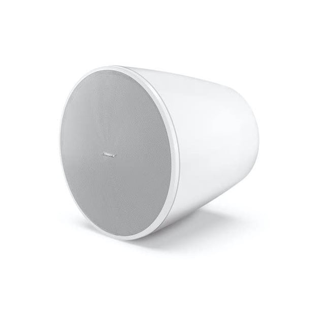 Subwoofer Bose Professional DM10P 10" Colgante Blanco 250W