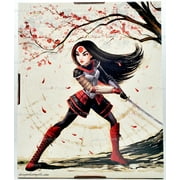 dc comics super hero girls katana