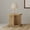 Mango color, variant on Square End Table with Storage for Small Spaces, Mango Finish Engineered Wood Side Table for Living Room