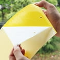 thumbnail image 3 of Luysn Fly Traps Outdoor,Dual Yellow Sticky Traps for Flying Plant Insect Like Aphids,Whiteflies,Fruit Fly Traps,Fly Traps,Dual-Sided Sticky Fly Traps for Plant Insect,Sticky Fly Traps 7.8"X6", 3 of 6