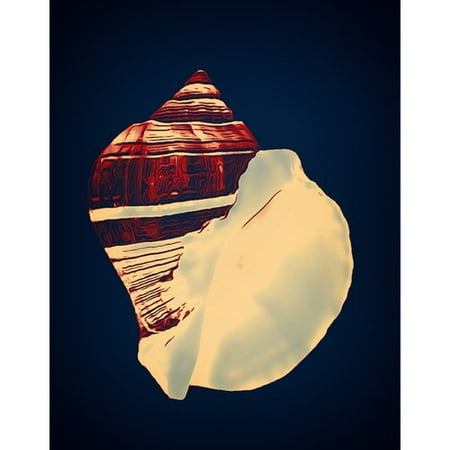 Graffitee Studios Shells Fiber Conch Graphic Art on Wrapped Canvas
