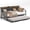 Dark Gray, variant on DEALTOPS Twin Daybed with Trundle, Metal Day Bed Frame with RGB LED Lights & Charging Station, Black