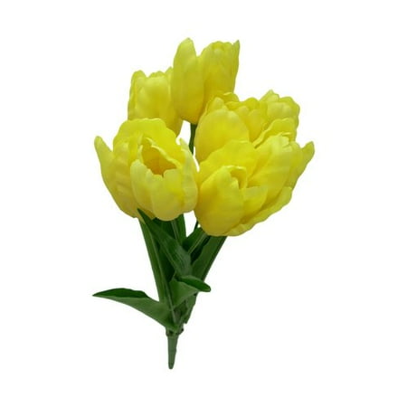 Tulip