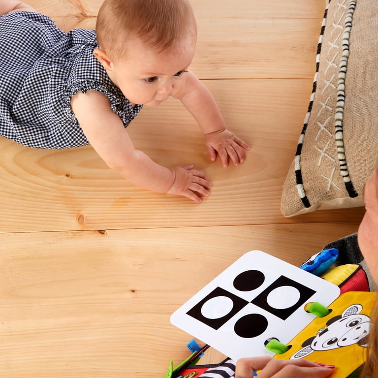 Baby Einstein Flip for Art High Contrast Mirror & Flashcards photo 5