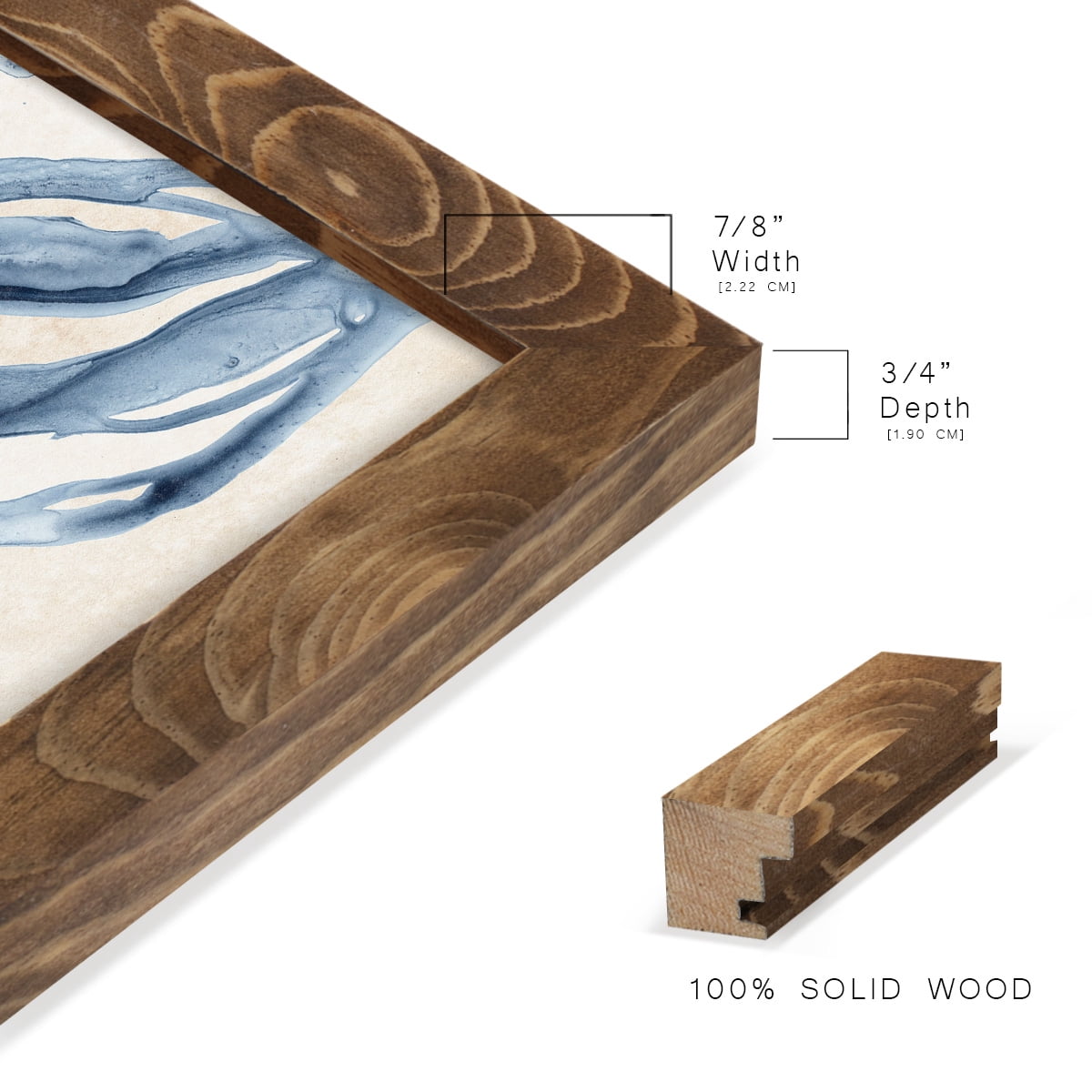 Water Shells II - Framed Print w/glass - Walnut