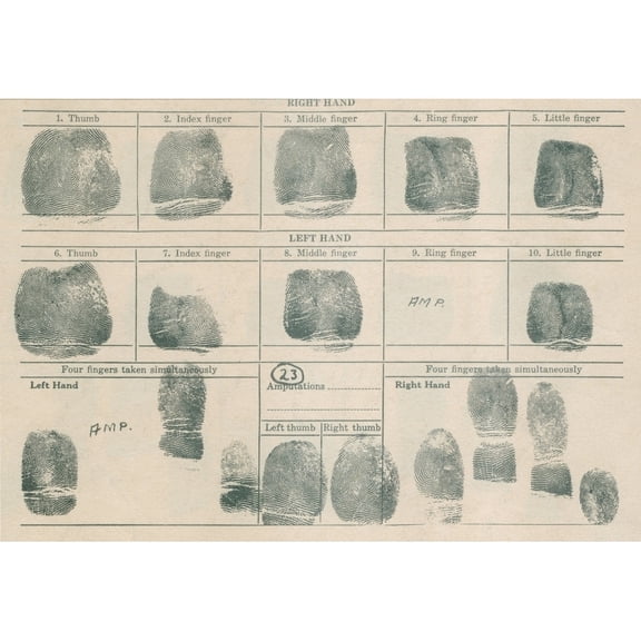 Fingerprint Record Sheet. History (24 x 18)