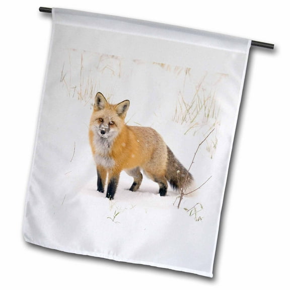 3dRose, CO, Pike National Forest, Red fox - US06 BJA0184 - Jaynes Gallery, 18 x 27 inch Garden Flag