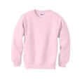 thumbnail image 1 of Hanes ComfortBlend EcoSmart Boy`s Crewneck Sweatshirt, L, Pale Pink, 1 of 1
