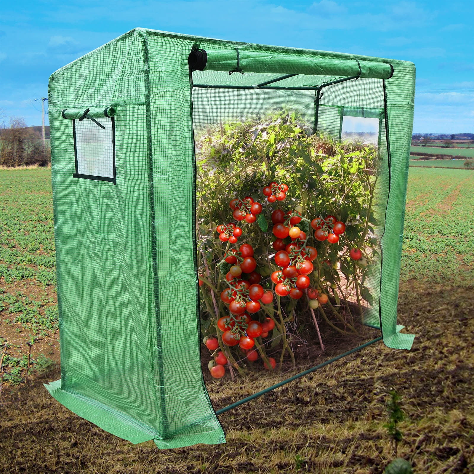 Sunrise 7'x3'x6' Portable Outdoor, Backyard Tomato Greenhouse for