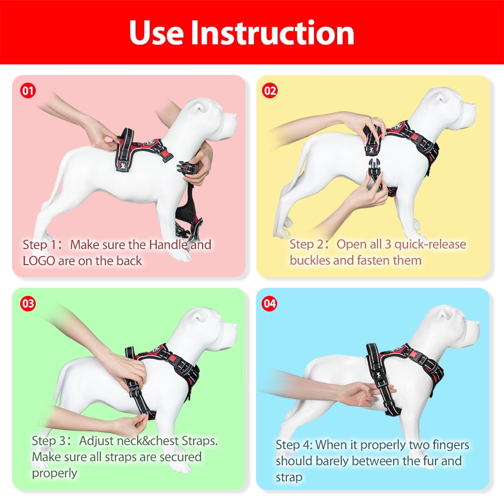 Poy pet harness instructions hotsell
