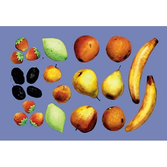 Painted Fruit-Fine Art Canvas Print (20" x 30")