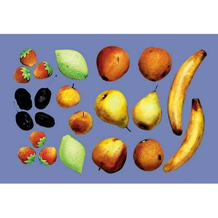 painted fruit fine art canvas print 20 x 30 walmart com