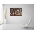 thumbnail image 5 of Epic Art 'The Hidden Truth' by Martin Podt, Acrylic Glass Wall Art, 36"x24", 5 of 5