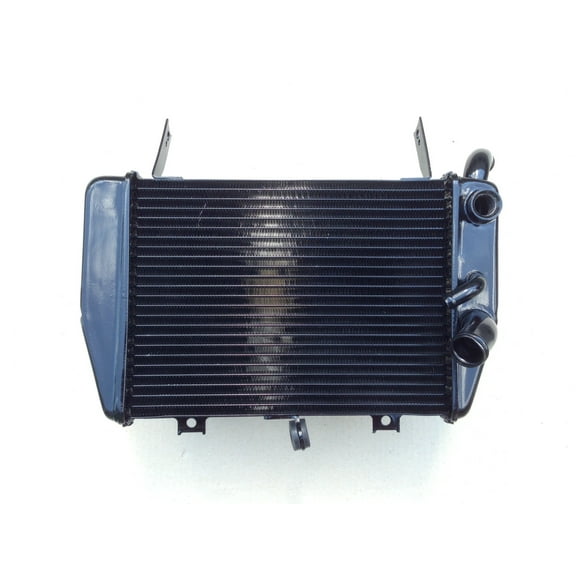 1998 1999 2000 2001 2002 2003 SUZUKI TL1000R All Engine (Lower) Motorcycle Radiator