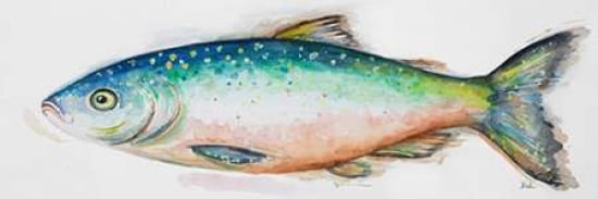Watercolor Fish I Canvas Art - Patricia Pinto ()