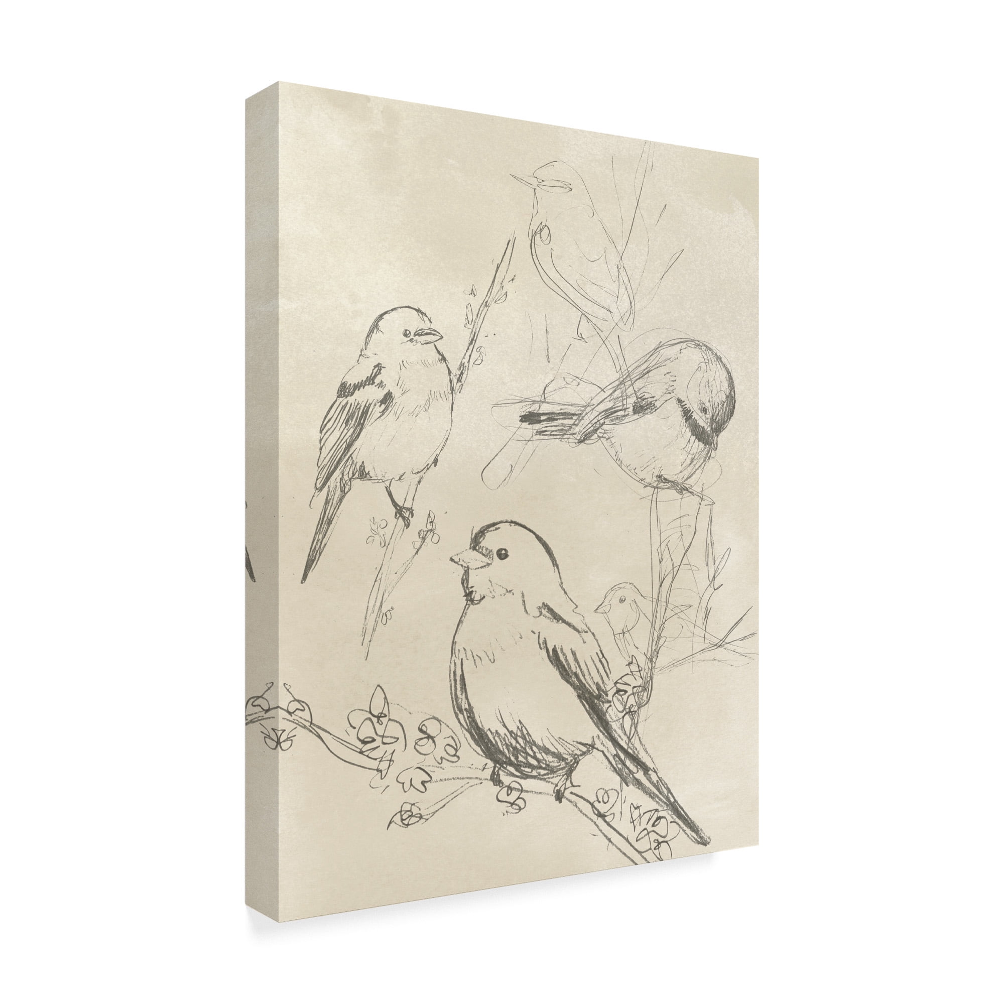 Trademark Fine Art 'Vintage Songbird Sketch II' Canvas Art by June Erica Vess