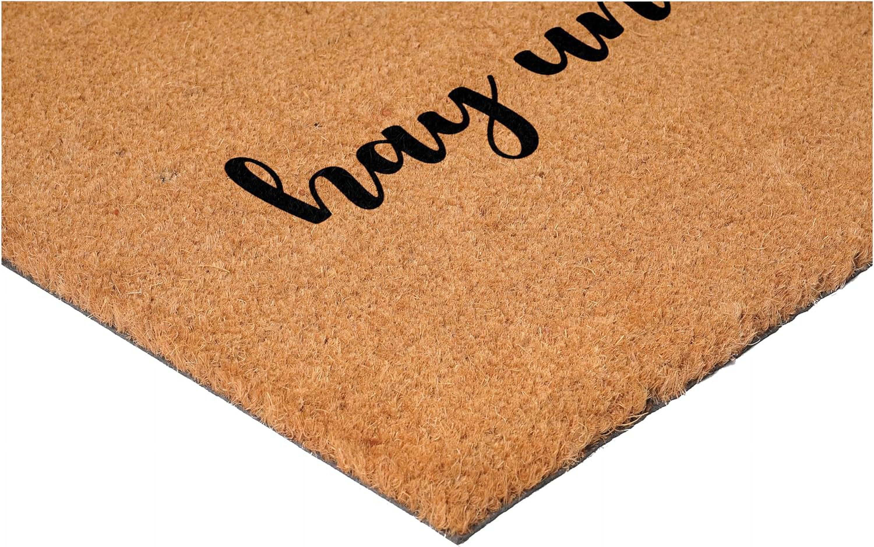 Calloway Mills 113401729 Hay Un Desmadre Script Spanish Doormat 17" x 29"