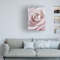 thumbnail image 2 of Trademark Fine Art Cora Niele Pink Rose Canvas Wall Art - 12x19, 2 of 5