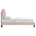 thumbnail image 3 of Modway Daisy Performance Velvet Twin Platform Bed in Pink, 3 of 10