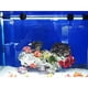 Yosoo 18-48cm étanche 18/57 LED bande de réservoir de poissons d'aquarium barre de lumière submersible lampe bande – image 2 sur 6