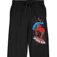 thumbnail image 4 of Spider-Man Pantalon de Pyjama à Motif Rampement - Moyen, 4 of 4