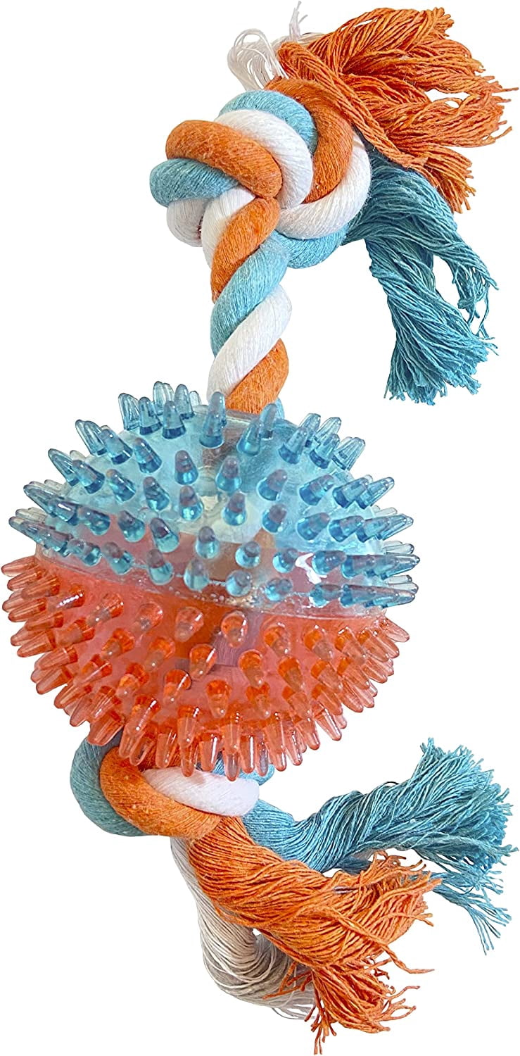 Animal Planet Spikey Round Rubber Toy with Rope