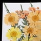 thumbnail image 5 of Tarjetas de felicitación colgantes con flores secas prensadas mixtas para álbumes de recortes, decoración DIY y decoración. naranja, 5 of 5