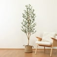 thumbnail image 6 of Kazeila Artificial Olive Tree 6FT Tall Faux Silk Plant for Home Office Decor Indoor Fake Potted Tree with Wood Trunk and Fruits, 6 of 7