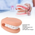 thumbnail image 3 of Marioneta de mano con Boca ANGGREK Herramienta Educativa Móvil 28 Dientes, 3 of 7