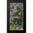 thumbnail image 2 of Highmith, Carol 14x24 Black Modern Framed Museum Art Print Titled - Spring flowers in Big Thicket National Preserve, 2 of 5