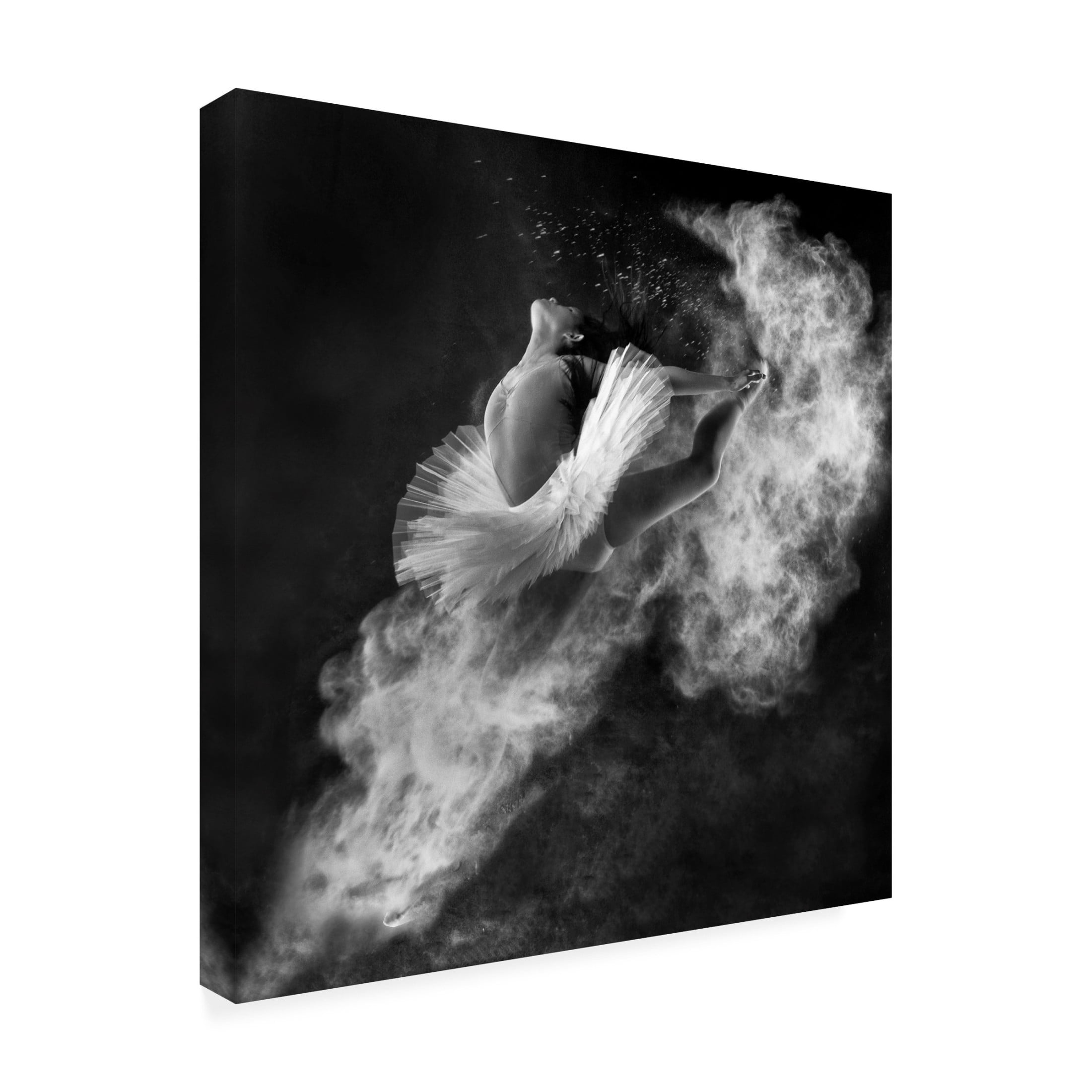 Antonyus Bunjamin 'Down To Earth' Canvas Art - 18 x 18 Inches