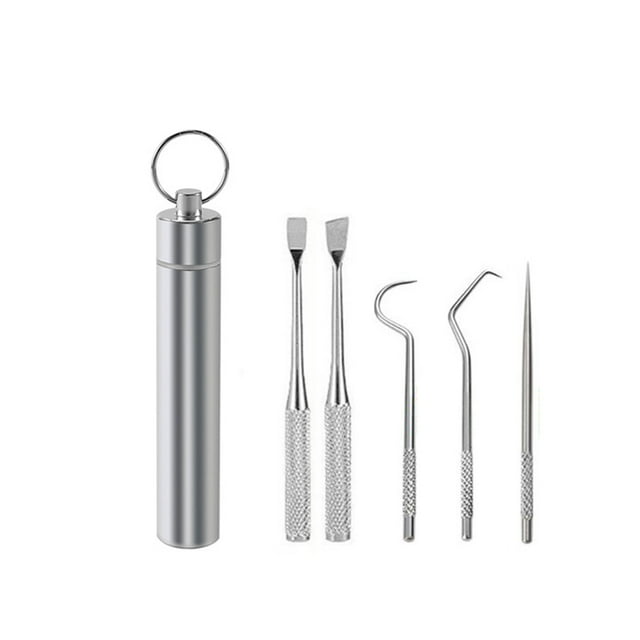 serony Toothpick Travel Tooth Cleaning Pick Barbecue Fruit Fork Reusable Washable Multifunctional Flossing Flosser with Holder 5PCS