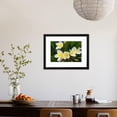 thumbnail image 3 of Plumeria Flowers, Island of Kauai, Hawaii, Botanical Framed Art Print Wall Art by Russ Bishop Sold by Art.Com, 3 of 5
