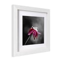 thumbnail image 3 of 12x12 Picture Frame Multi Photo Frames Collage for Wall or Tabletop Display Quality Solid Wood Frame, Easy Type Action to Remove the Backing,can Be Hung Horizontally or Vertically, 3 of 6